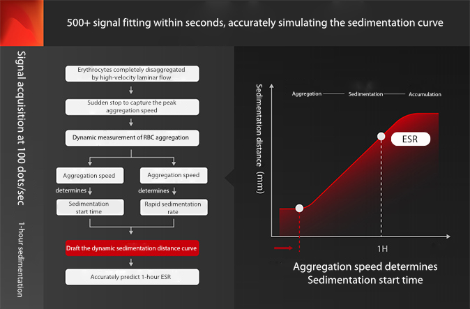 Mindray Easy-W: ESR gebruiken als een nieuwe potenti?le biomarker om de activiteit en ernst van systemische lupus erythematosus te voorspellen