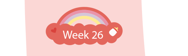 078d0672-b6ce-440e-97a6-72461afbf937_12