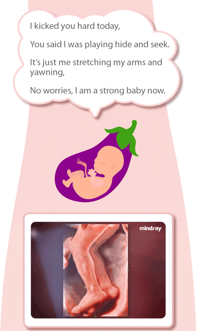 078d0672-b6ce-440e-97a6-72461afbf937_13