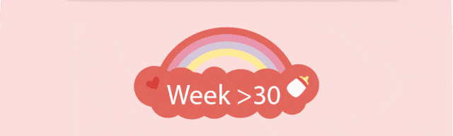 078d0672-b6ce-440e-97a6-72461afbf937_14