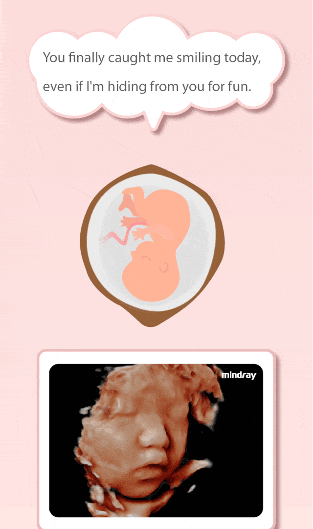 078d0672-b6ce-440e-97a6-72461afbf937_15