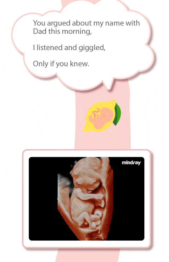 078d0672-b6ce-440e-97a6-72461afbf937_7