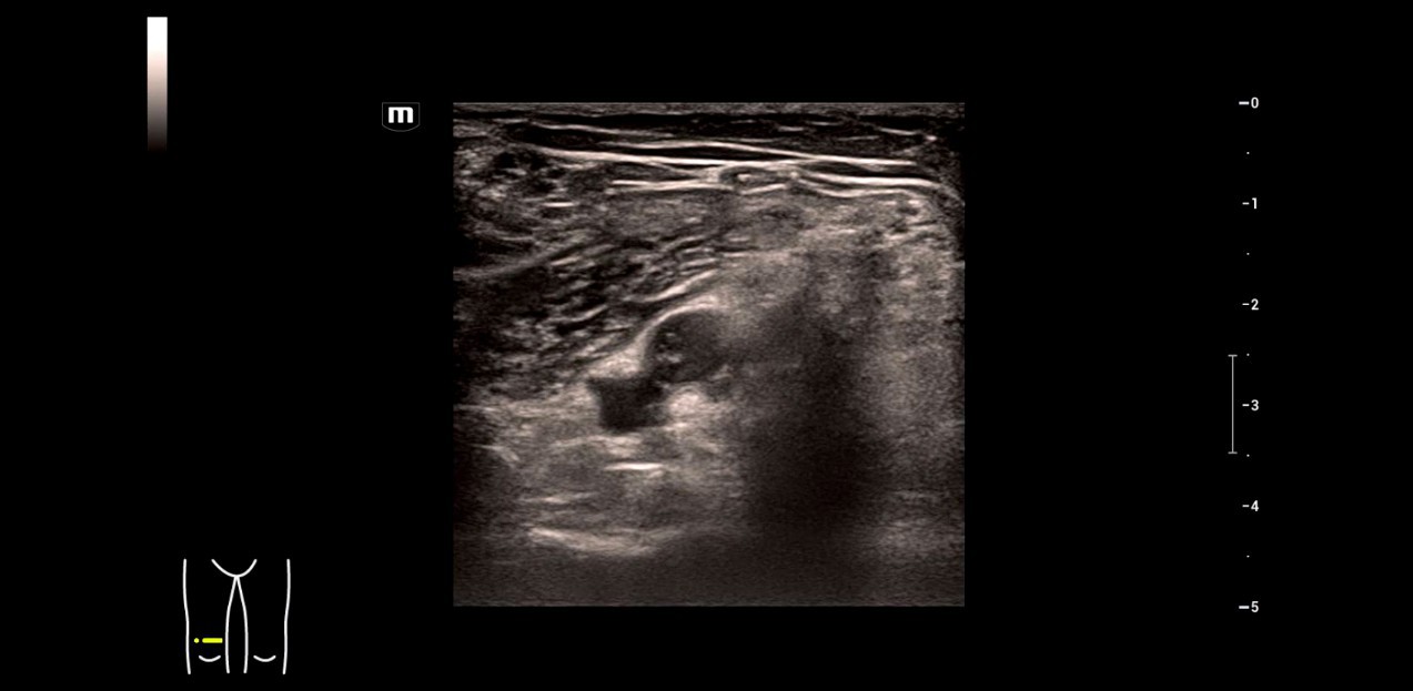 resona-i9-interdisciplinary-fig1-5-pc