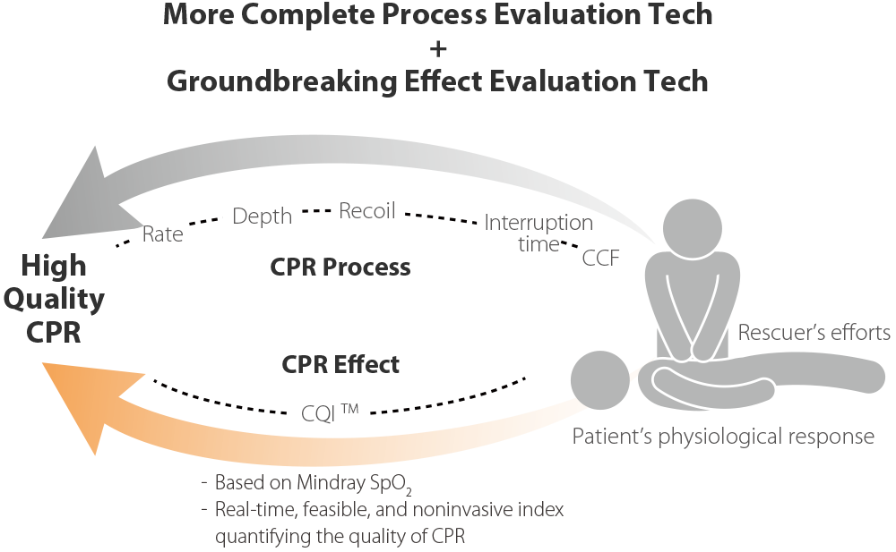 beneheart-d30-fig2-3