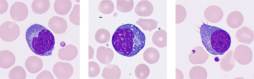 pg电子游戏(试玩)官方网站-APP下载