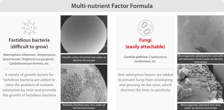 fa-n-series-fig2-2-en