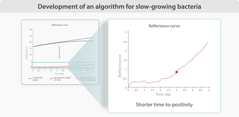 fa-n-series-fig2-3-en