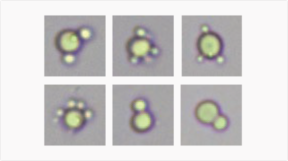 eu-5600-pro-fig2-10-pc