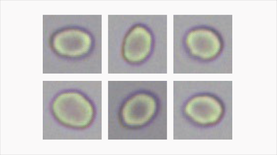 eu-5600-pro-fig2-3-pc