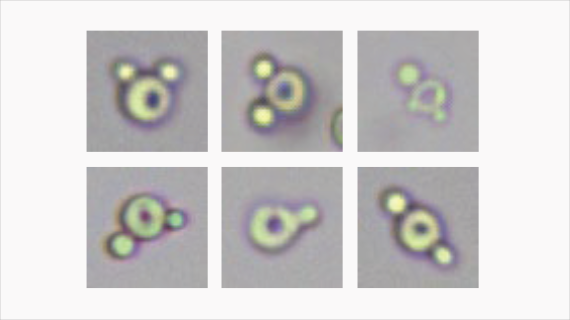 eu-5600-pro-fig2-7-pc