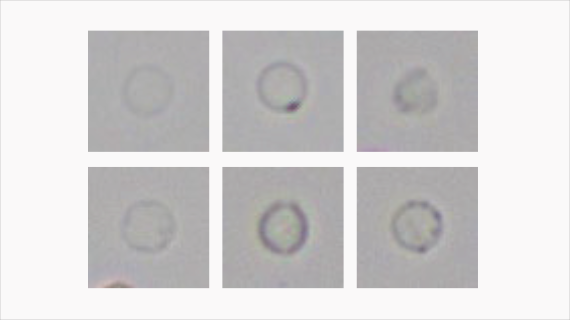 eu-5600-pro-fig2-8-pc