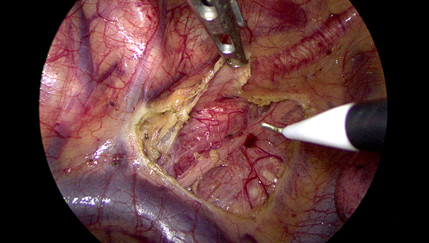 pg电子游戏(试玩)官方网站-APP下载