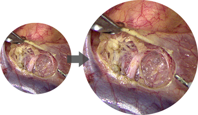 pg电子游戏(试玩)官方网站-APP下载