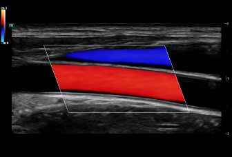 pg电子游戏(试玩)官方网站-APP下载