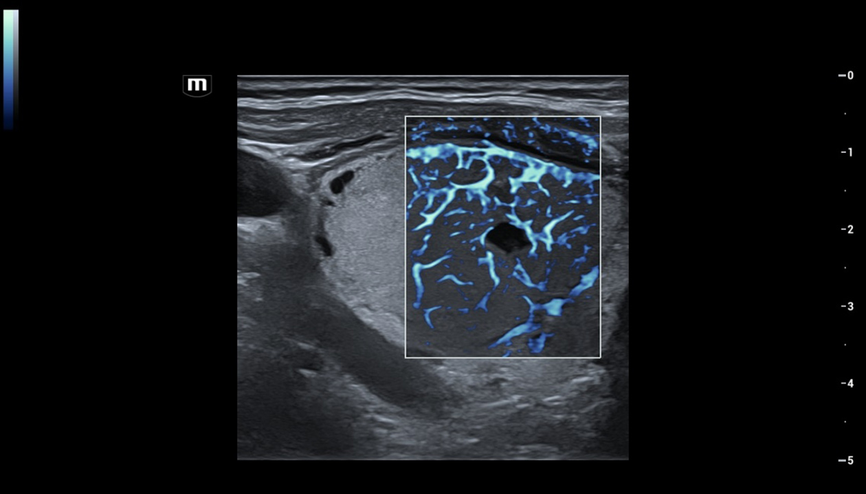pg电子游戏(试玩)官方网站-APP下载