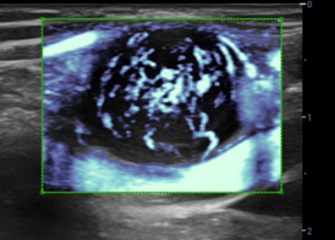 pg电子游戏(试玩)官方网站-APP下载