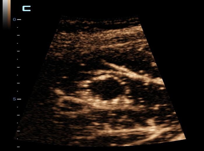 pg电子游戏(试玩)官方网站-APP下载
