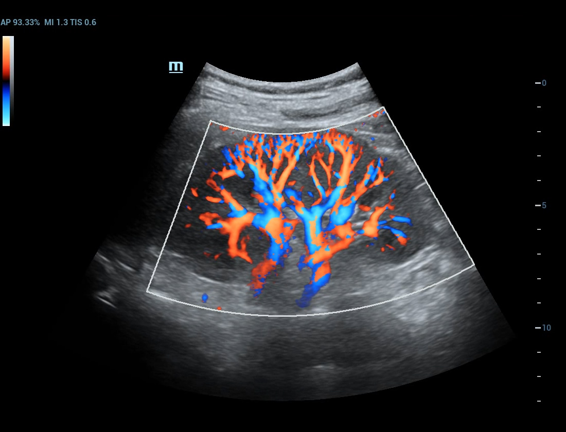 pg电子游戏(试玩)官方网站-APP下载