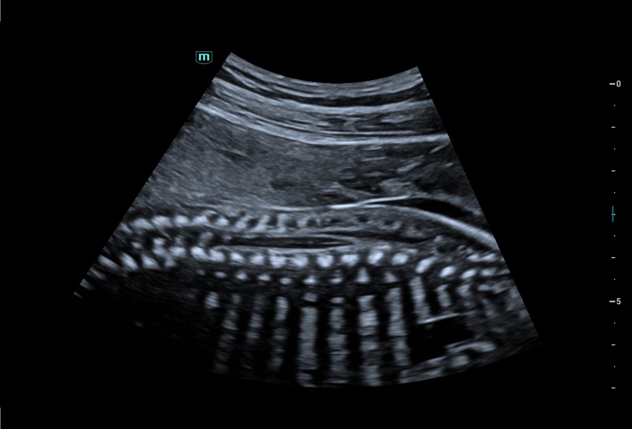 pg电子游戏(试玩)官方网站-APP下载