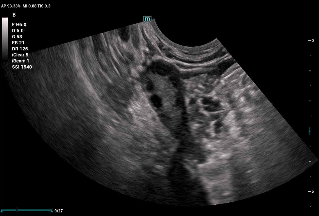pg电子游戏(试玩)官方网站-APP下载