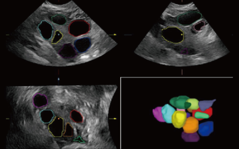 pg电子游戏(试玩)官方网站-APP下载
