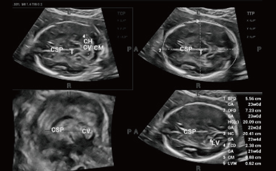 pg电子游戏(试玩)官方网站-APP下载
