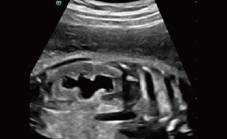 pg电子游戏(试玩)官方网站-APP下载