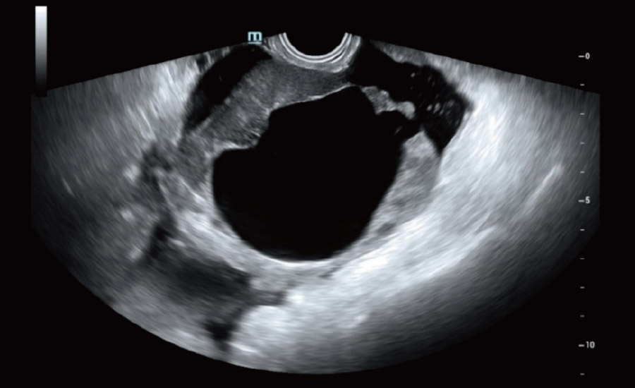 pg电子游戏(试玩)官方网站-APP下载