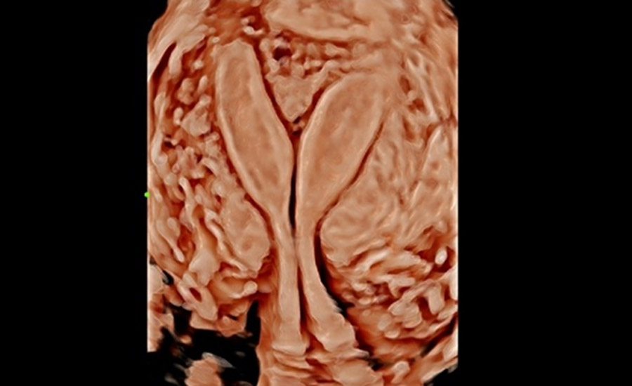 pg电子游戏(试玩)官方网站-APP下载