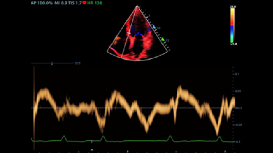 pg电子游戏(试玩)官方网站-APP下载