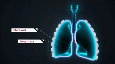 pg电子游戏(试玩)官方网站-APP下载