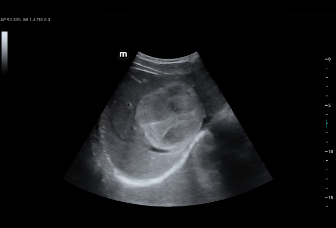 pg电子游戏(试玩)官方网站-APP下载