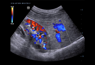 pg电子游戏(试玩)官方网站-APP下载