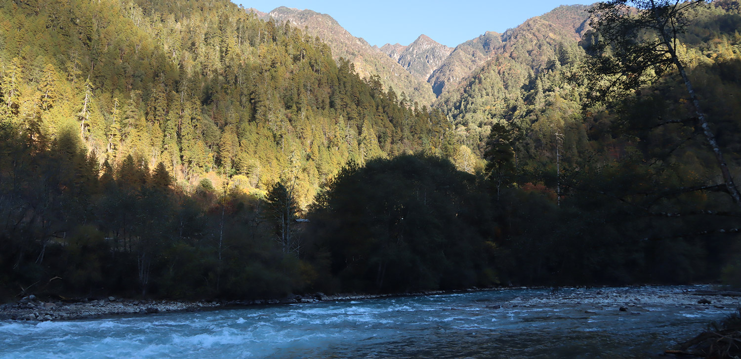 pg电子游戏(试玩)官方网站-APP下载