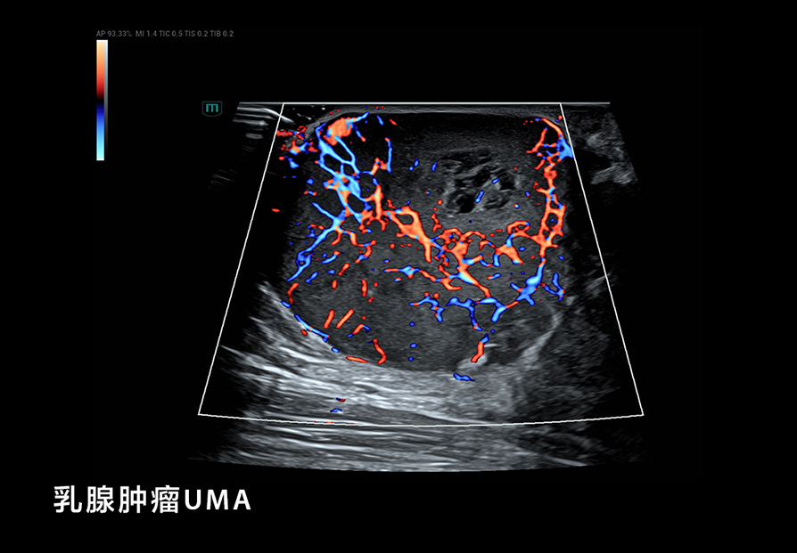 pg电子游戏(试玩)官方网站-APP下载