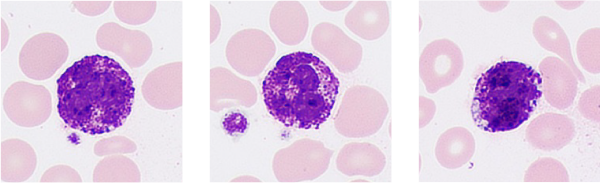 pg电子游戏(试玩)官方网站-APP下载