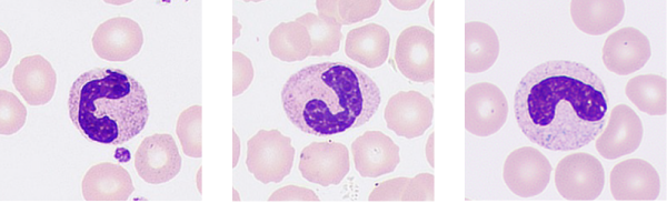 pg电子游戏(试玩)官方网站-APP下载