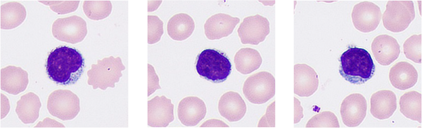 pg电子游戏(试玩)官方网站-APP下载