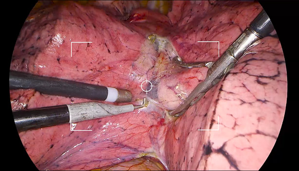 pg电子游戏(试玩)官方网站-APP下载