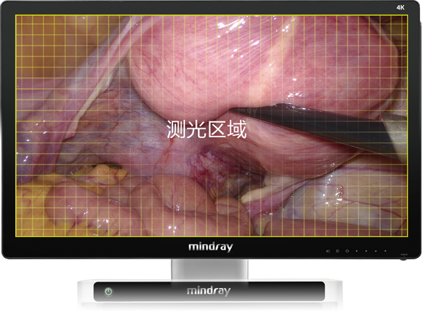 pg电子游戏(试玩)官方网站-APP下载