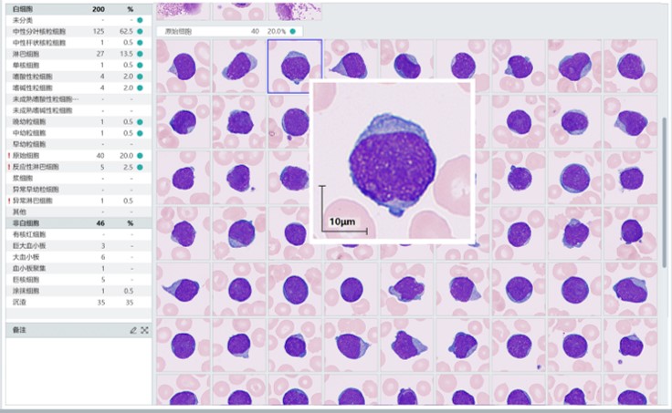 pg电子游戏(试玩)官方网站-APP下载