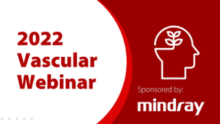 2022 Vascular Webinar