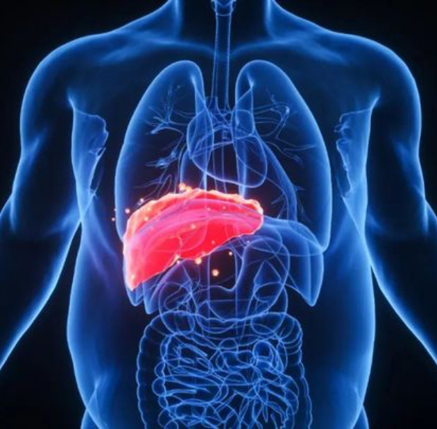 pg电子游戏(试玩)官方网站-APP下载